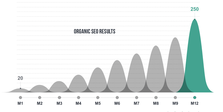 Organic Seo Results